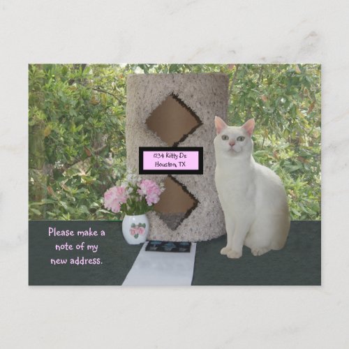 Feminine New Address Postcard