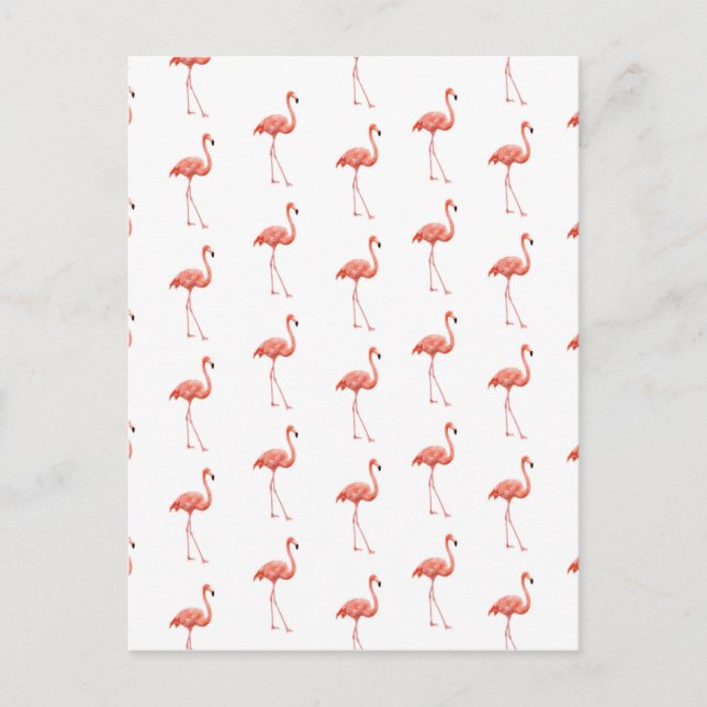 Feminine Pink Flamingo Pattern Postcard (Front)