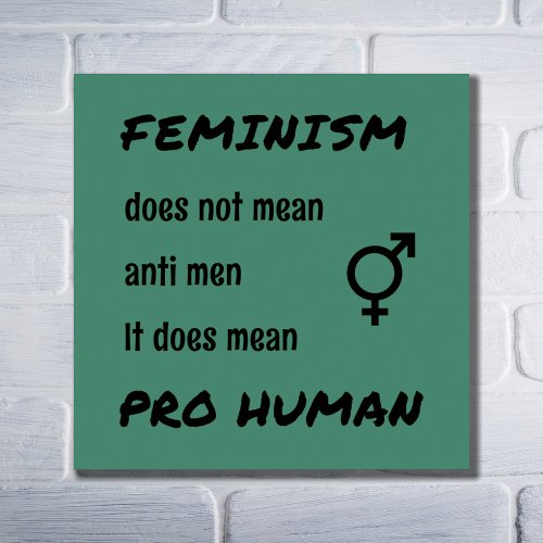 Feminism pro human slogan poster
