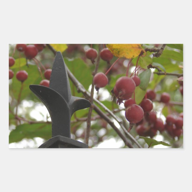 Fence and Crabapples Rectangular Sticker (Front)