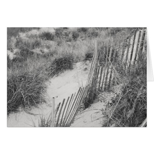 "Fence and Dunes" collection Cards (Front Horizontal)