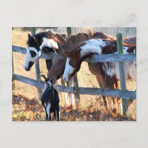 Fence Friends Postcard