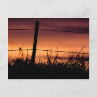 Fence Line Sunset Post Card