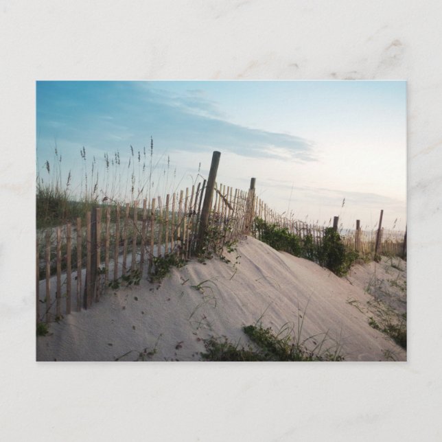 Fence on Myrtle Beach Postcard (Front)