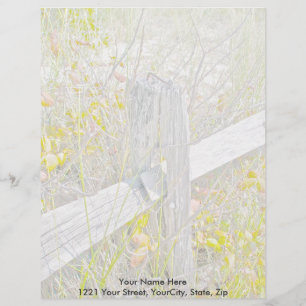 Fence & Poison Ivy IBSP Letterhead