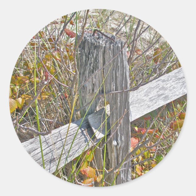 Fence & Poison Ivy IBSP NJ Coordinating Items Classic Round Sticker (Front)