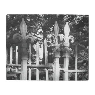 Fence Posts Metal Print