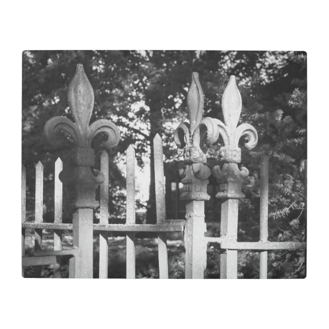 Fence Posts Metal Print (Front)