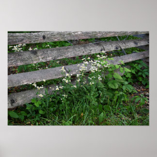 Fence with Wildflowers Poster