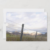 Fenced in Landscape (Front)