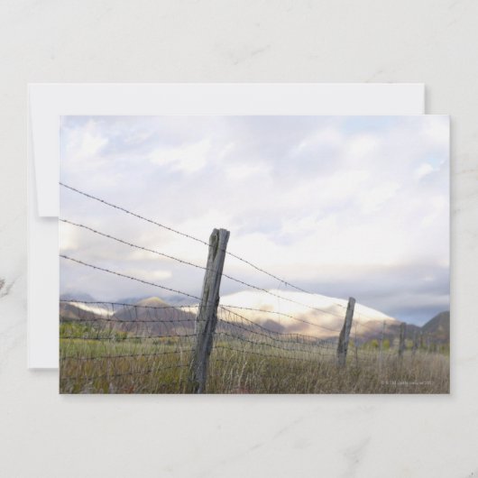 Fenced in Landscape (Front)