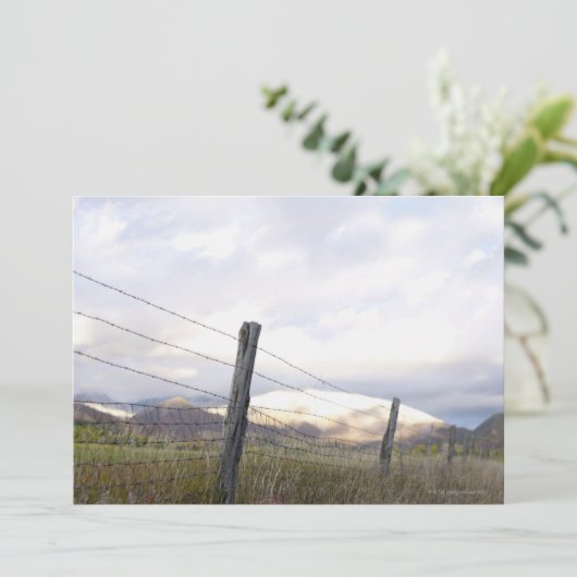 Fenced in Landscape (Standing Front)