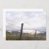 Fenced in Landscape (Front/Back)