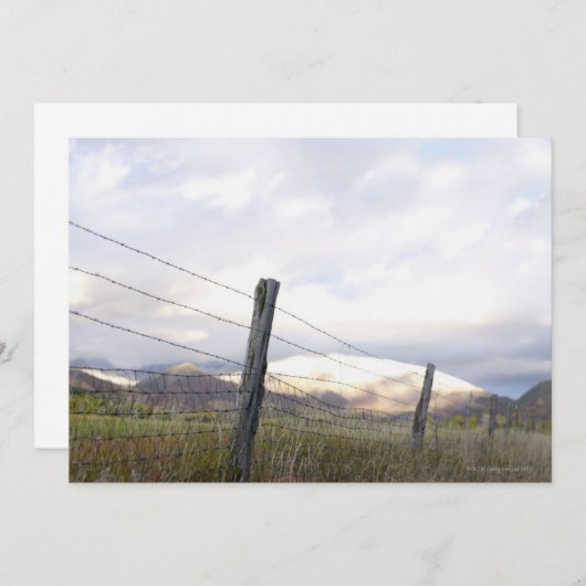 Fenced in Landscape (Front/Back)