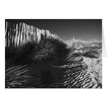 Fencing In The Dunes blank notelet / card