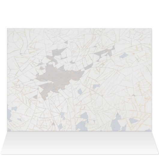 Fender Craze (Inside Horizontal (Top))