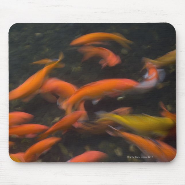 Feng Shui believe koi fish bring good luck. Mouse Pad (Front)