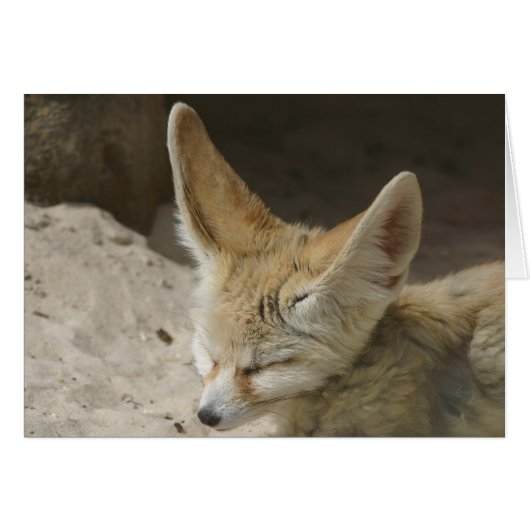 Fennec Fox Card (Front Horizontal)
