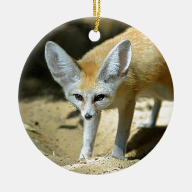 Fennec fox ceramic ornament (Front)