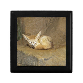 fennec fox jewelry box