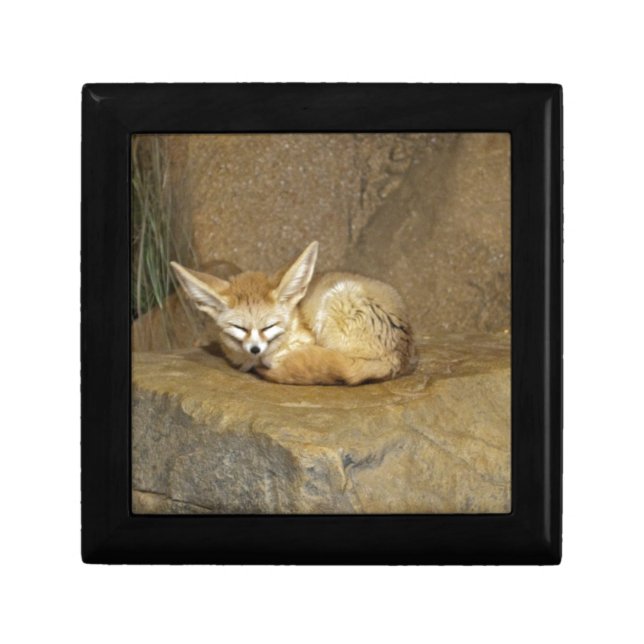 fennec fox jewelry box (Front)