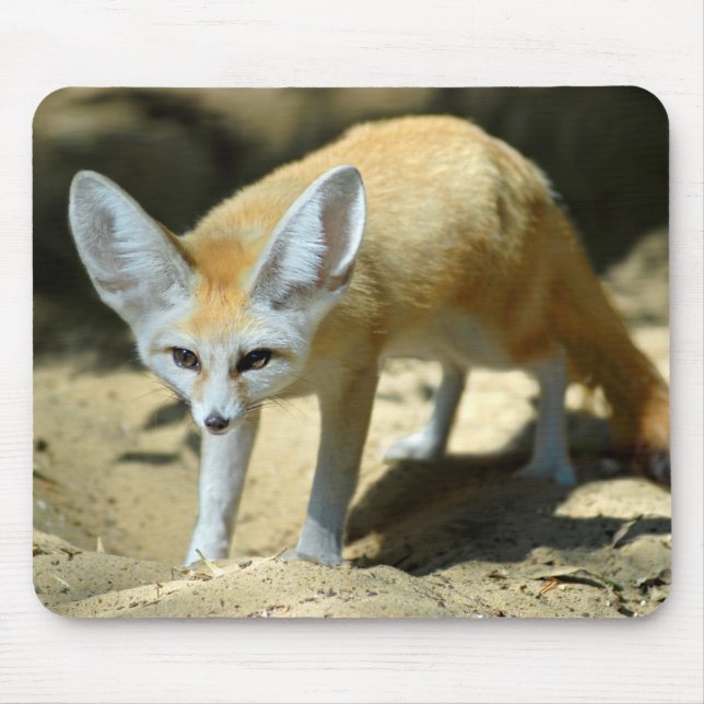 Fennec fox mouse pad (Front)