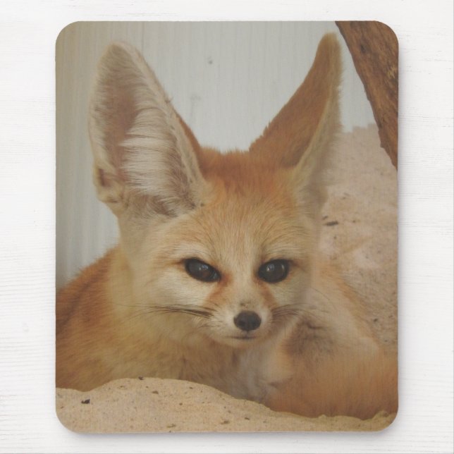 Fennec Fox Mouse Pad (Front)