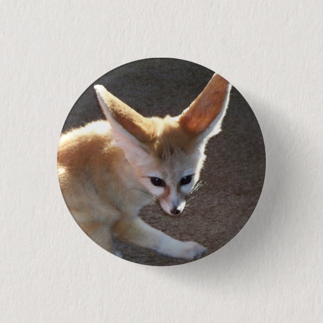 Fennec Fox Pinback Button (Front)