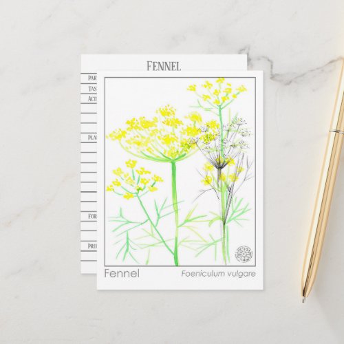 Fennel Materia Medical Herbal Study Card