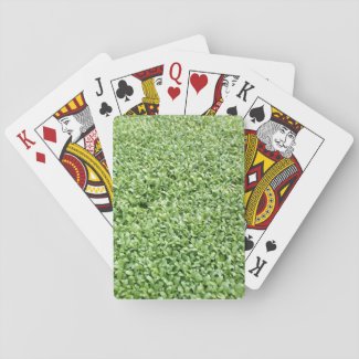 FENUGREEK PLAYING CARDS