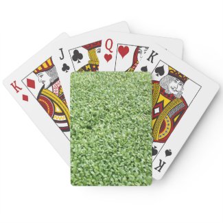 FENUGREEK PLAYING CARDS