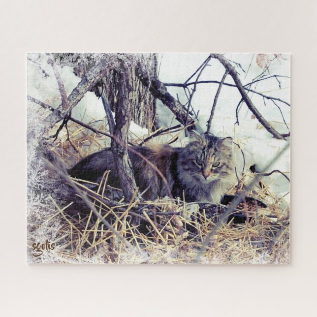 Feral Cat in Winter Photo Art  Jigsaw Puzzle (Horizontal)