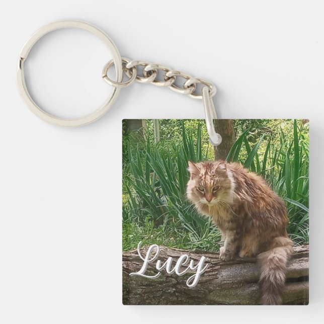 Feral Cat Photo / Cat Lover  Keychain (Front)