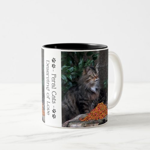 Feral Cats Deserving of Love Mug