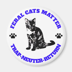 Tortie Cat Refrigerator Magnets Zazzle