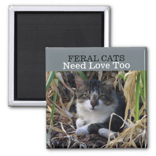 Feral Cats Need Love Magnet