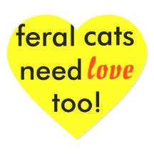 feral cats need love too!