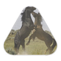Feral Horse Equus caballus) wild horses Bluetooth Speaker