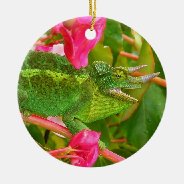Feral Jackson's Chameleon on Maui Island Hawaii Ceramic Ornament (Front)