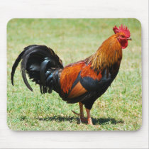 Feral rooster red jungle fowl Kauai Hawaii Mouse Pad