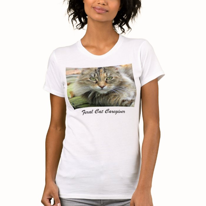 Feral Tabby Cat Caregiver T Shrit T Shirts