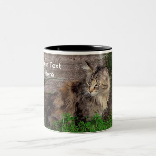 Feral Tabby Cat Coffee Mug