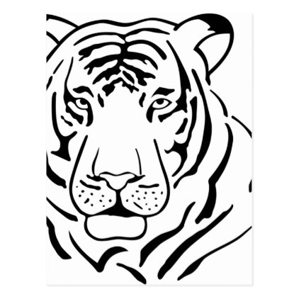 Feral Tiger Drawing Postcard