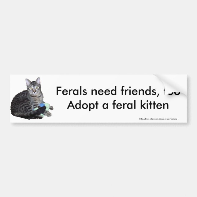 "Ferals need friends" kitten bumper sticker (Front)