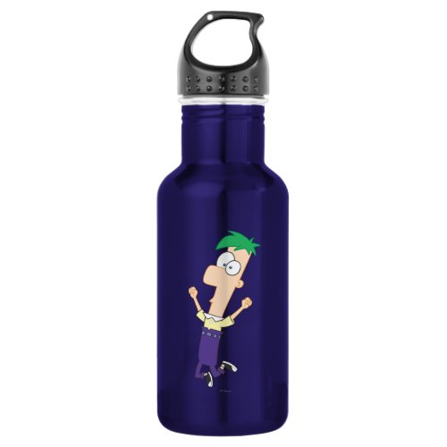 Ferb 1 stainless steel water bottle