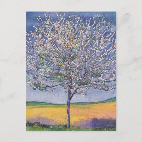 Ferdinand Hodler_ Cherry Tree in Bloom Postcard