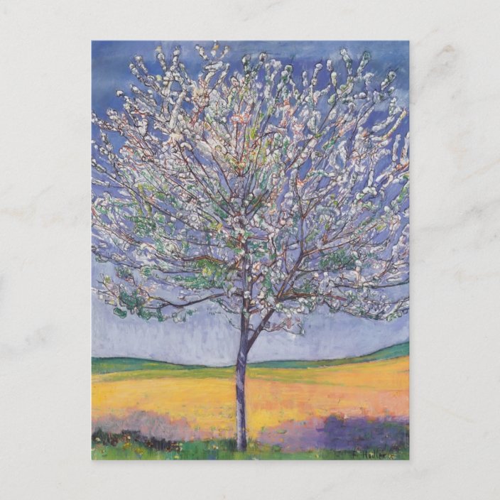 Ferdinand Hodler Cherry Tree In Bloom Postcard Zazzle Com   Ferdinand Hodler Cherry Tree In Bloom Postcard Rbc47ab2260de444aae42655a3c1b6eaf Ucbjp 704 