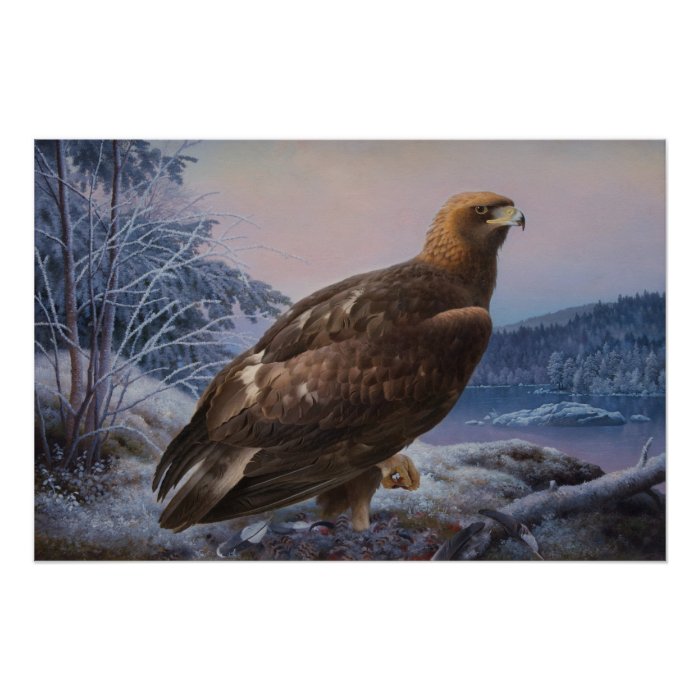 Ferdinand von Wright Golden eagle 1884 CC0313 Poster