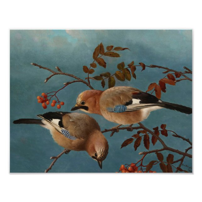 Ferdinand von Wright - Jays Photo Print (Front)