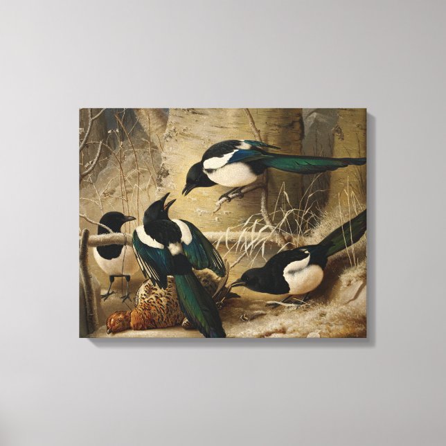 Ferdinand von Wright - Magpies Round a Dead Canvas Print (Front)